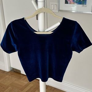 American Apparel Blue Velvet Crop Top